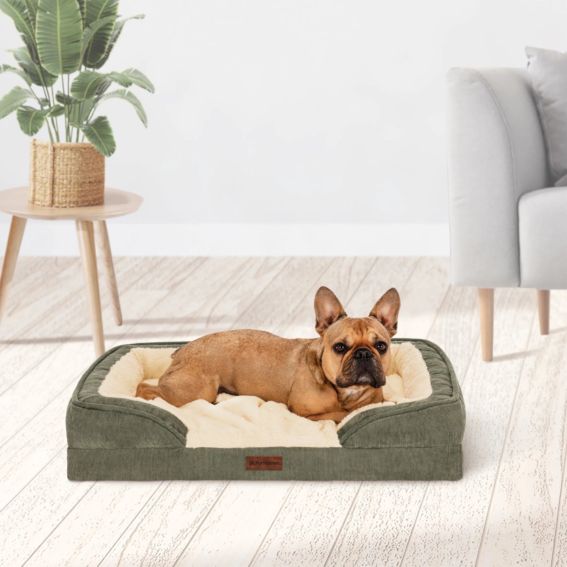 Pet Products Medium Nest-Top Perfect Comfort Sofa Orthopedic Ped Bed, 30"X20", Green